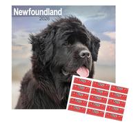 Calendrier Terre-Neuve 2026 | Calendrier mural carré de race de chien | 16 mois | avec autocollants organisationnels