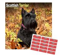 Calendrier Terrier Écossais 2026 | 16 mois | Avec autocollants d’organisation offerts