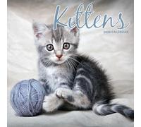 Calendrier traditionnel 2026 Chaton