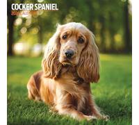Calendrier Traditionnel Cocker Spaniel 2026