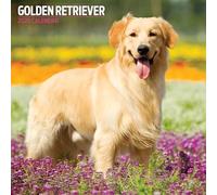 Calendrier Traditionnel Golden Retriever 2026