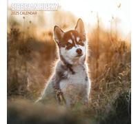 Calendrier traditionnel Husky de Sibérie 2025