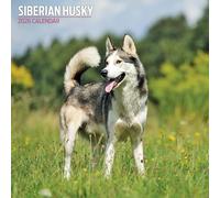 Calendrier traditionnel Husky de Sibérie 2026