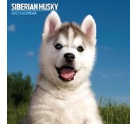 Calendrier traditionnel Husky de Sibérie 2027