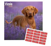 Calendrier Vizsla 2026 | 16 mois | De septembre 2025 à décembre 2026 | Avec autocollants d’organisation offerts