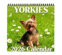 Calendrier Yorkshire Terrier - 21 x 21 cm - Papier épais - Calendrier pour chien 2026 - Planning mural mignon avec couverture marguerites - Impression 12 mois - Pages double face pour la