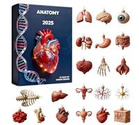 Calendriers de l'Avent 2025 sur l'anatomie, Calendrier de compte à rebours de 24 jours avec ornements d'organes humain, Calendriers de l'Avent de Noël inspirés de science et des miniatures d'organes
