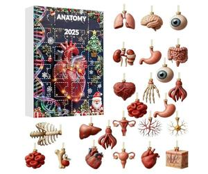 Calendriers De L'Avent Anatomiques 2025, 24 Jours D'ornements Représentant Les Calendrier De L'Avent De Noël