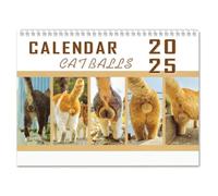 Calendriers muraux - Calendrier amusant | Planificateur mural 12 mois | Planificateur d'horaire suspendu pour décoration de la maison, calendrier carré vertical 2025 pour et adultes