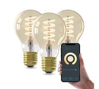 CALEX Ampoule Filament Dorée Sphérique A60 E27 CCT WiFi, 7W, Alexa/Google/Siri, Blanc Chaud 1800-2700K, dimmable, scénarios, sans pont, WiFi 2.4GHz (3)