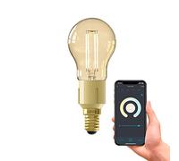 CALEX Ampoule intelligente E14, avec application et commande vocale Alexa (4,5 W), ampoule LED Wifi à filament à intensité variable, lampe wifi blanc chaud