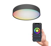 CALEX Plafonnier intelligent, plafonnier intelligent 30cm, pour chambre à coucher et salon, lumière de plafond, noir