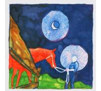Calexico – In the Reins – Import