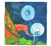 Calexico - In the Reins