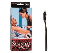CalExotics Scandal Pleasure Wheel Coffret