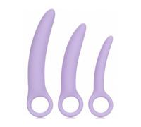 CalExotics Set Dr Berman Alena Dilatateurs