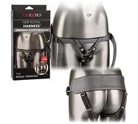 CalExotics The Regal Princess Gode Ceinture 1 Unité