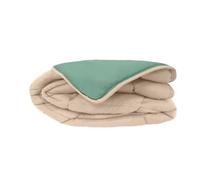 CALGARY - Couette Chaude Microfibre 400gr/m² - Beige et Vert - 240 x 260 cm