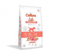 CALIBRA Dog Life Starter Puppy Lamb 12 kg avec de l'agneau pour chiots, chiennes en gestation et allaitantes