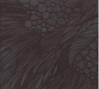 Calibre - Overflow [Import]