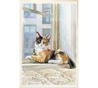 Calico Cat - Sitting Pretty: Blank Page Cat Note/Sketchbook: 6x9 Book for Cat Lovers, 150 pages