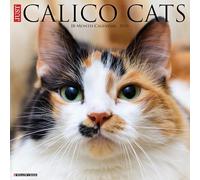 Calico Cats 2026 12 X 12 Wall Calendar