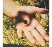 Calicos - The Soft Landing