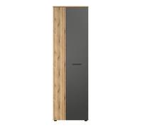 CALICOSY - Armoire d'entrée 2 porte L60 cm - ESTEBAN - Gris anthracite