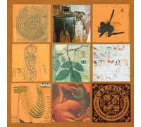 Califone All My Friends Are Funeral Singers (Vinyl)