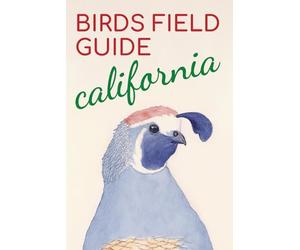 California Birds Field Guide. The Essential California Birds Identification Pocket Guide, A Complete California Birds Book and Field Companion to North American Bird Species