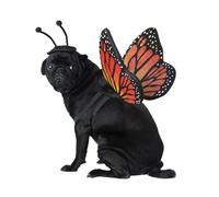 California Costumes Collections Pet Costume Papillon monarque pour Chien, Noir/Orange, M Tour de Cou 14-16 cm, circonférence 20-24 Dos 16 US