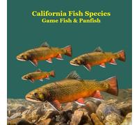 California Game Fish and Panfish Species Kids Book: Great Book About the Different Types of Fish in California