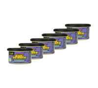 California Scents 7026 Lot de 6 désodorisants pour voiture Parfum vanille