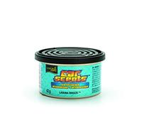 California Scents – Désodorisant Laguna Breeze – Canette 42 g