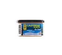 CALIFORNIA SCENTS Désodorisant Newport New Car 34-041 - 42 g