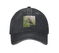California Valley Caille Heavyweight Séchage Rapide Vibrant Oiseau Natureinspired Respirant Demin Trucker Hat Chapeaux légers Casquette