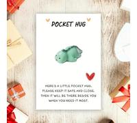 Câlin de dinosaure de poche, cadeau de dinosaure, mini animal de poche, décoration souvenir de poche dinosaure, câlin dans une boîte pour femme, fière de vous, câlin dans une poche