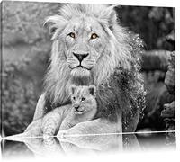 câlins d'amour avec lionceau noir / blanc sur toile, énorme XXL photos complètement encadrée avec civière, impression d'art sur ??la photo murale avec cadre, moins cher que la peinture ou une peinture à l'huile, pas une affiche ou une bannière
