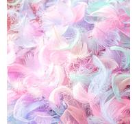 Calkkrer Lot de 800 plumes naturelles colorées pour le bricolage, les couleurs macarons, plumes d'oiseaux, pour attrape-rêves, décoration d'ailes d'ange, plumes de bricolage pour mariage, fête et