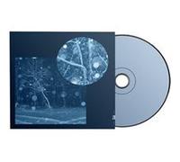 Call For Winter II : Resonance