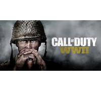 Call of Duty WWII (PC)
