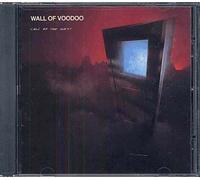 Wall of Voodoo - Call of the West