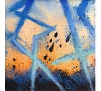 Call Super Suzi Ecto (Vinyl) 12" Album