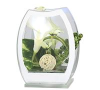 Calla Fleur artificielle avec lumière LED dans un verre miroir Décoration de table Décoration d'intérieur Objet décoratif Sculpture Décoration de mariage Figurine décorative 3D Image cadeau Accessoire