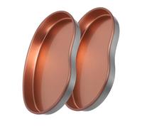 CALLARON 2pièces Lot De Plateaux De Service Acier Plateau à Fruits Pour Nail Art Plateau De Métal Facile à Nettoyer