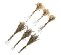 CALLARON Bouquet de Fleurs Séchées 6 Pièces - Gypsophile et Amarante Naturelle, Tiges Couleur Aléatoire, Décoration Intérieure Solide pour Maison, Ornements Floraux Boho,