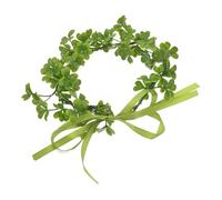 CALLARON Couronne Shamrock Saint Patrick Accessoire De Fête Headband Floral Décoration De Photo Guirlande Shamrock Pour Célébrations Irlandaises