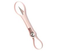 CALLARON Cuillère à Melon en Acier Inoxydable et Plastique Rose Multifonction Design Ergonomique pour Creuser des Boules de Fruits, Cuisine Glace