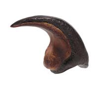 CALLARON Griffe de Dinosaure Réaliste Modèle d’Enseignement en pour Recherche Scientifique et Décoration Intérieure