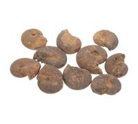 CALLARON Lot de 10 Spécimens D'ammonites Naturelles à Vocation Pédagogique, Modèles de Fossiles Marins en Pyrite Brune, Outils Éducatifs pour L'étude Scientifique Collection